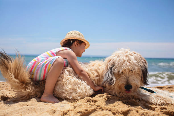 istock Cute child and a dog playing on the beach 1158822235