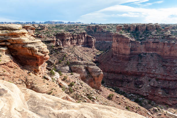 istock The Needles area of Canyonlands 1158824489