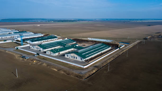 istock livestock complex top view. aerial survey 1158826055