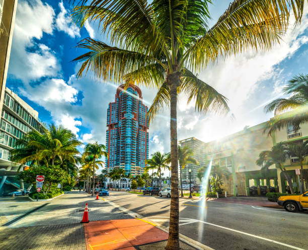 istock Palm trees and skyscrapers under a shining sun in Miami Beach 1158826662