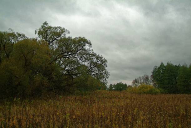 istock cloudy autumn evening in the countryside 1158828034