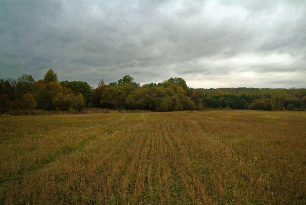 istock cloudy autumn evening in the countryside 1158828270