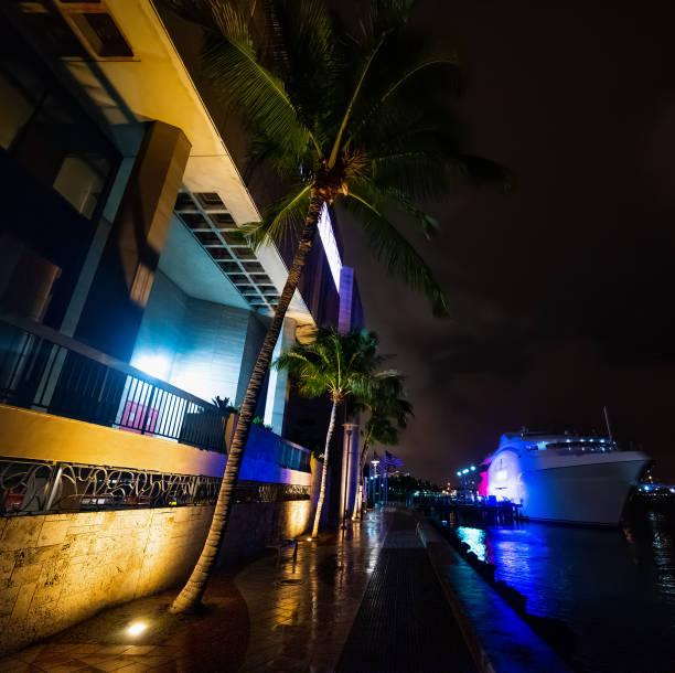 istock Colorful night in Miami River walk 1158828338