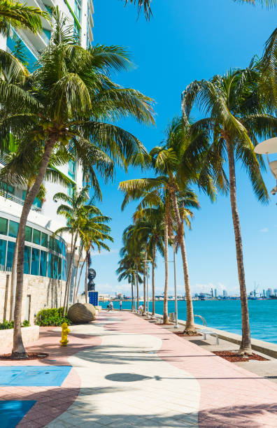 istock Promenade in Miami Riverwalk on a sunny day 1158828973