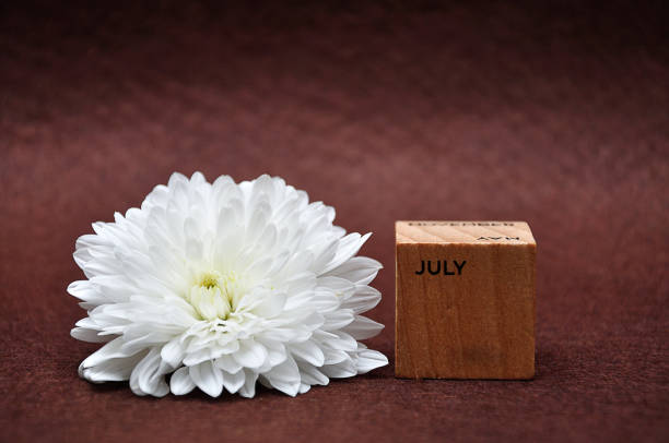 istock July on a wooden block with a white aster on a brown background 1158830870