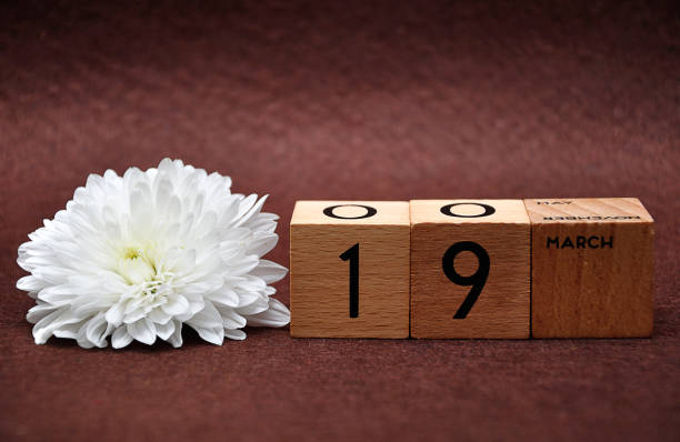 istock 19 March on wooden blocks with a white aster on a brown background 1158831937