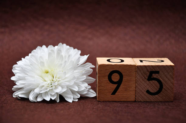 istock Number ninety five with a white aster on a brown background 1158832124