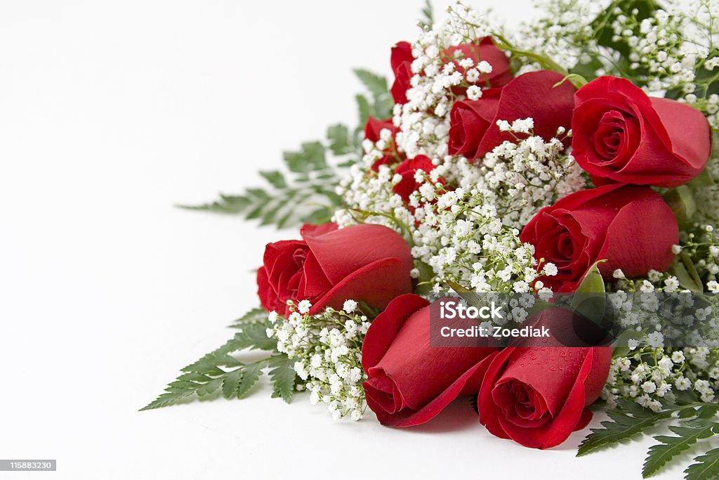 Red Roses Picture of a dozen Red Roses on white background with space left for copy Red Stock Photo