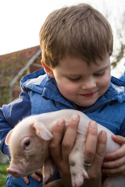istock Childhood On The Farm 1158833933