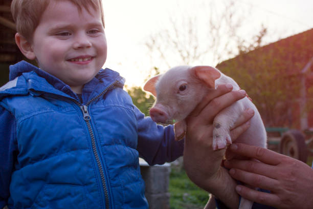 istock Happy Childhood On The Farm 1158833935