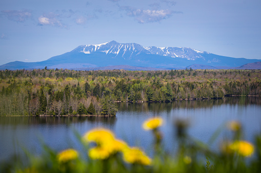 A view of Mt. Katahdin from a scenic outlook in Maine over looking flowers and a lake.