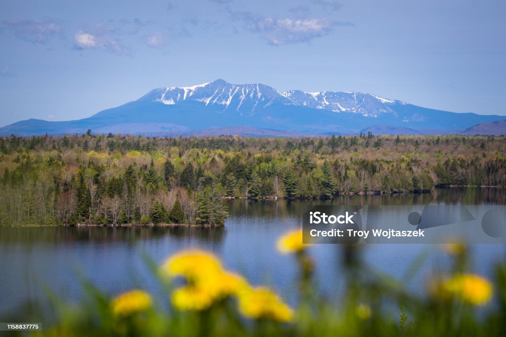 Mt. Katahdin from Afar A view of Mt. Katahdin from a scenic outlook in Maine over looking flowers and a lake. Maine Stock Photo