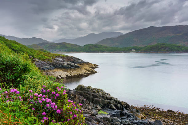 beautiful view along the route from glenfinnan to mallaig , scotland - mallaig imagens e fotografias de stock