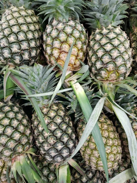 istock Fresh pineapple contains high vitamin C 1158842182