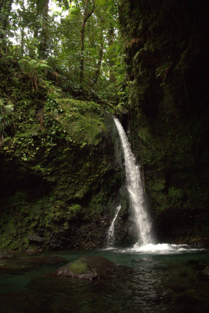 istock Hibiscus Falls, Dominica 1158842407