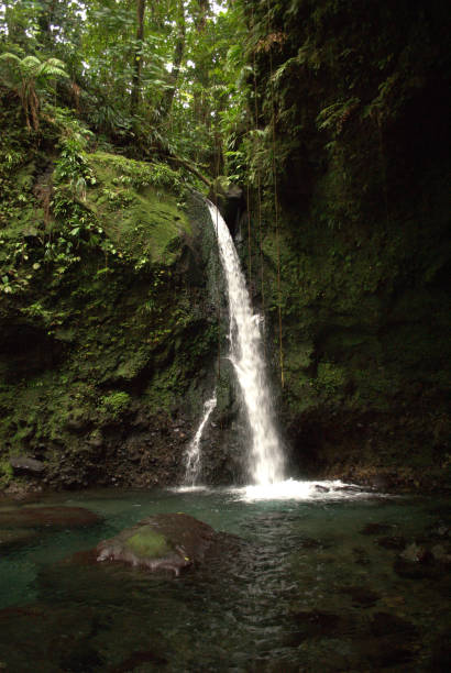 istock Hibiscus Falls, Dominica 1158842414