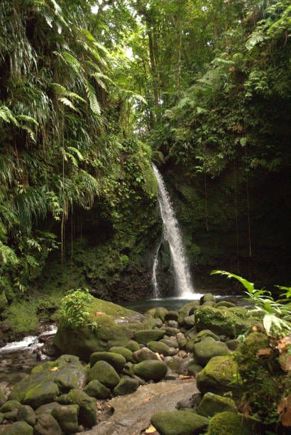 istock Hibiscus Falls, Dominica 1158842419