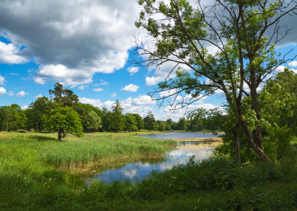 istock Summer bright landscape with a lake, greenery and clouds 1158846086