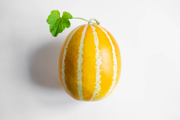 Oriental melon Yellow Melon Golden melon White background