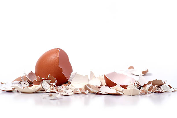 broken eggshells stock photo