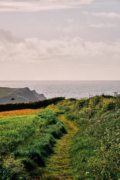 istock Coast footpath at Crantock, Newquay, Cornwall on a sunny June evening. 1158847861
