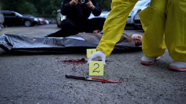 polizia fa foto e fissa numeri di prove, cadavere e coltello su strada - evidence marker foto e immagini stock