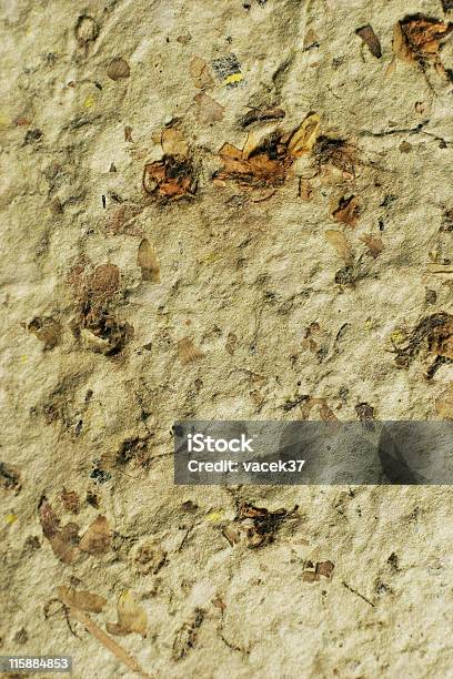 Recycled Handmade Paper Texture With Floral Elements Stock Photo - Download Image Now
