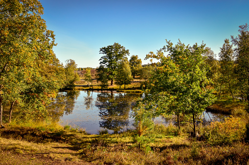 Pastor Bode Pond in the Lüneburg Heath near Wesel Undeloh