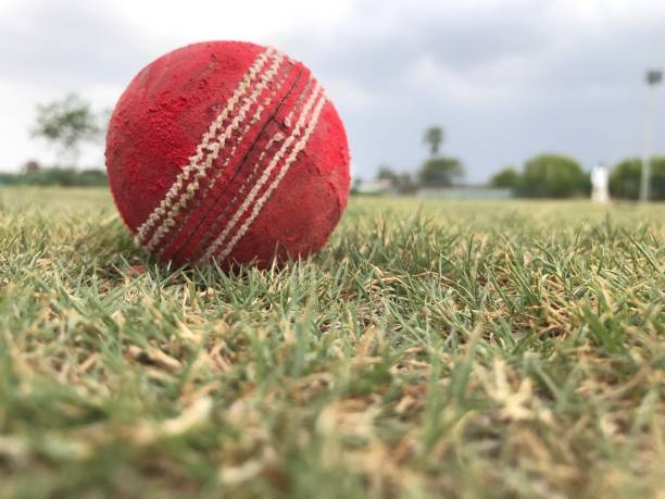 palla da cricket - lawn ball circle green foto e immagini stock