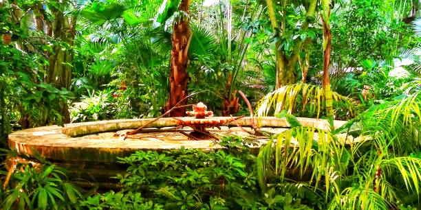 Tropical asian garden Florida