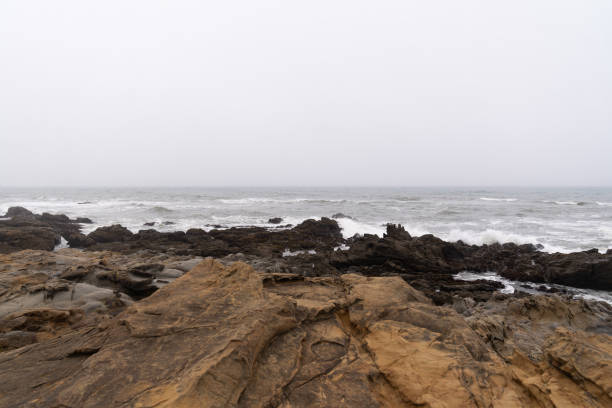 istock Pacific Ocean Coastline on a Foggy day 1158855226