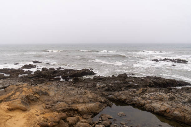 istock Pacific Ocean Coastline on a Foggy day 1158855232
