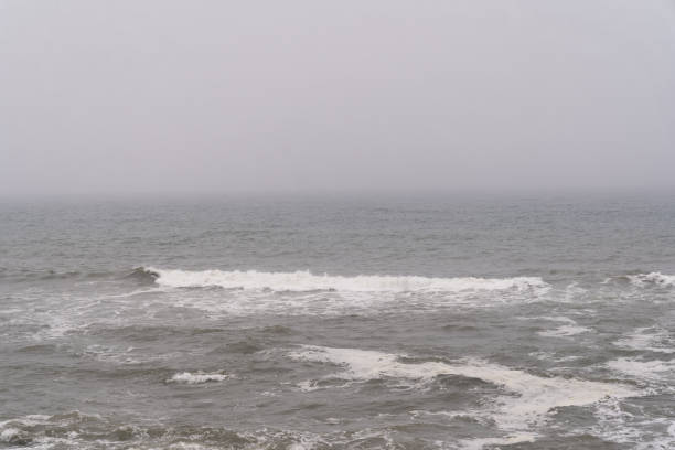 istock Pacific Ocean Coastline on a Foggy day 1158855235