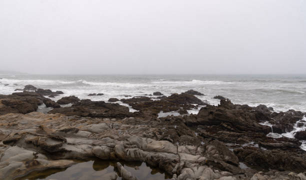 istock Pacific Ocean Coastline on a Foggy day 1158855237