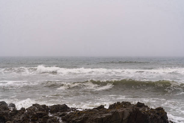 istock Pacific Ocean Coastline on a Foggy day 1158855247
