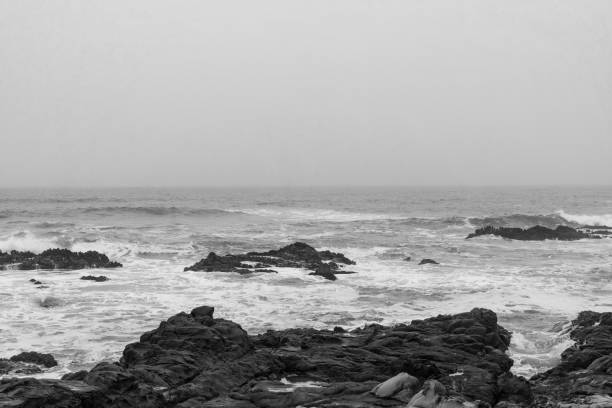 istock Pacific Ocean Coastline on a Foggy day 1158855288