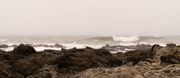 istock Pacific Ocean Coastline on a Foggy day 1158855298