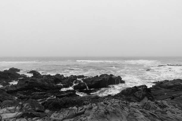 istock Pacific Ocean Coastline on a Foggy day 1158855310