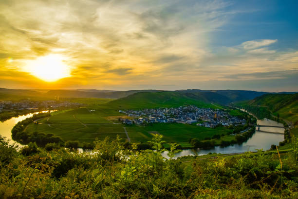 Purple thistle blooms and tall grasses glow in the golden sunset light, set against softly rolling hills and a distant village horizon. This peaceful rural scene radiates warmth, serenity, and the untamed beauty of nature at dusk.