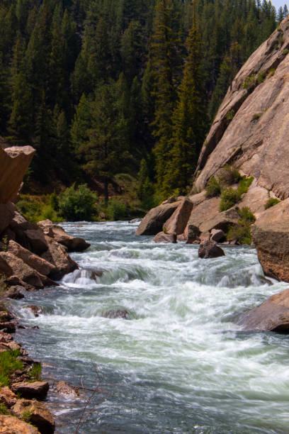 istock Eleven Mile Canyon 1158858915