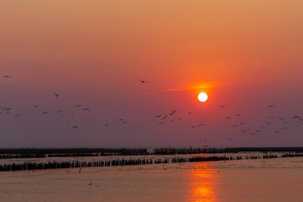 istock Sunset on the sea 1158860054