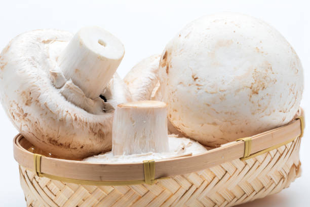 Basket of mushrooms (champignon, cut feet, Agaricus Bisporus) raw (uncooked). Foreground. Isolated on white background.