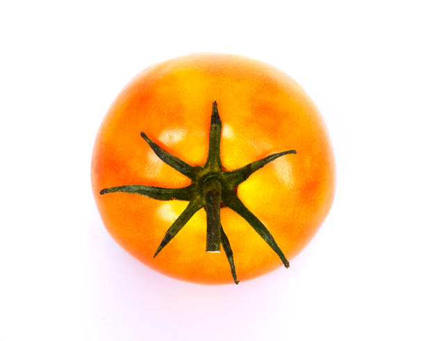 istock Fresh orange tomatoes, isolated on a white background Concepts, vegetables, kitchen gardens and as a health food. Illustration - lmage 1158861206