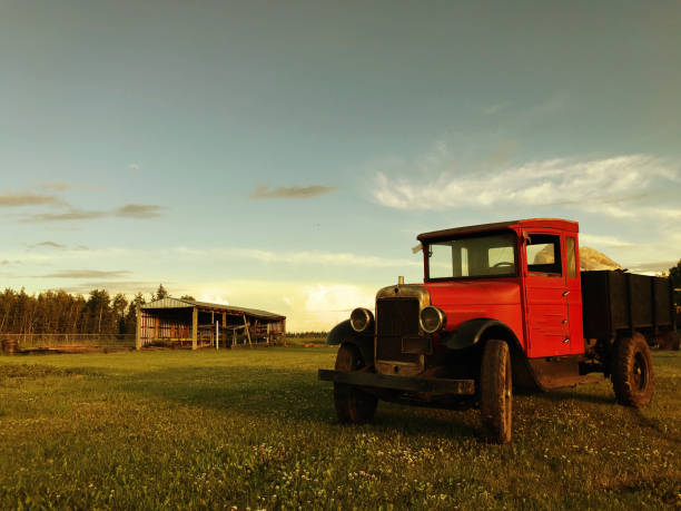 nostalgic pickup truck in sunset field of grass - agricultural machinery retro revival summer farm imagens e fotografias de stock