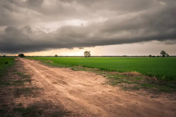 Overcast sky with big rain clouds over the rice field and dirt road in countryside, rainy season in Thailand