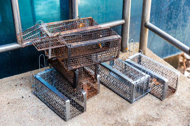 Many mouse trap cage put together both old and new Prepare to use. Many mouse trap cage put together both old and new Prepare to use. Selective focus. entrapment stock pictures, royalty-free photos & images