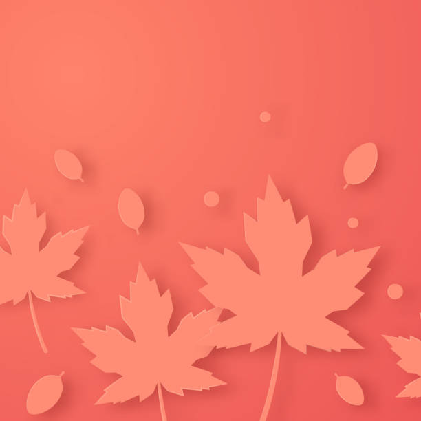 illustrazioni stock, clip art, cartoni animati e icone di tendenza di concetto autunnale con foglie in stile taglio carta - autumn backgrounds biology botany