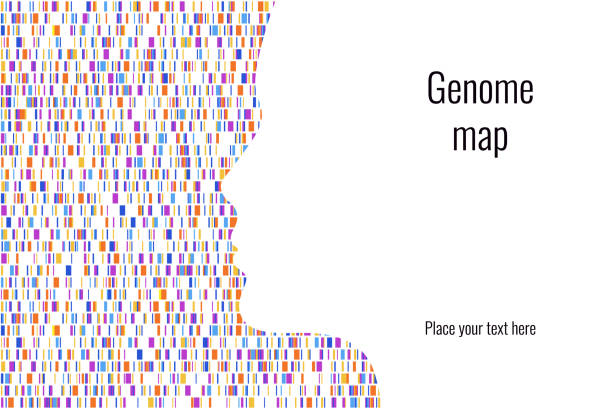 Dna test infographic. Vector illustration. Genome sequence map. Template for your design. Background, wallpaper. Barcoding. Big Genomic Data Visualization Dna test infographic. Vector illustration. Genome sequence map. Template for your design. human genome map stock illustrations