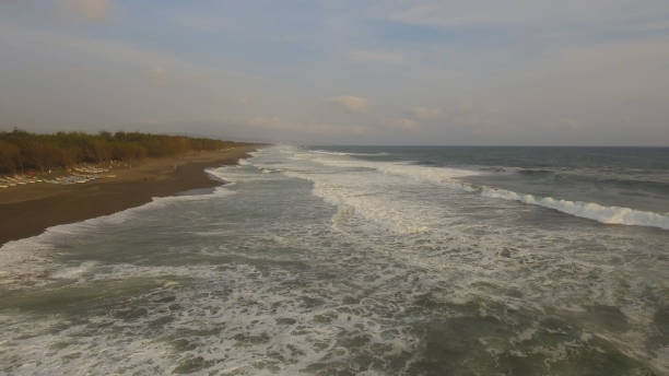 istock sandy beach near the ocean 1158868317