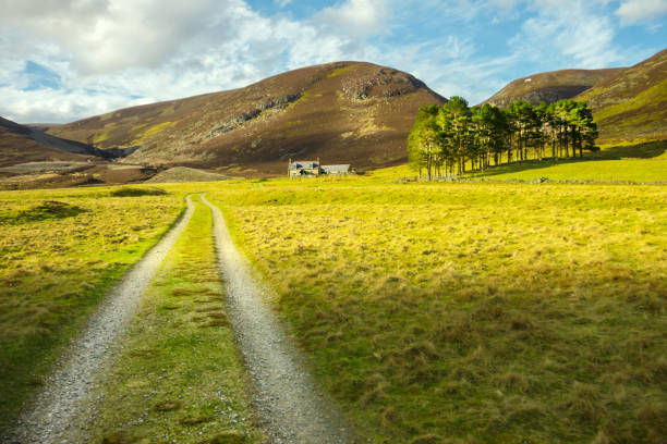 Hiking trail in Cairngorms National Park, Scotland, UK stock photo